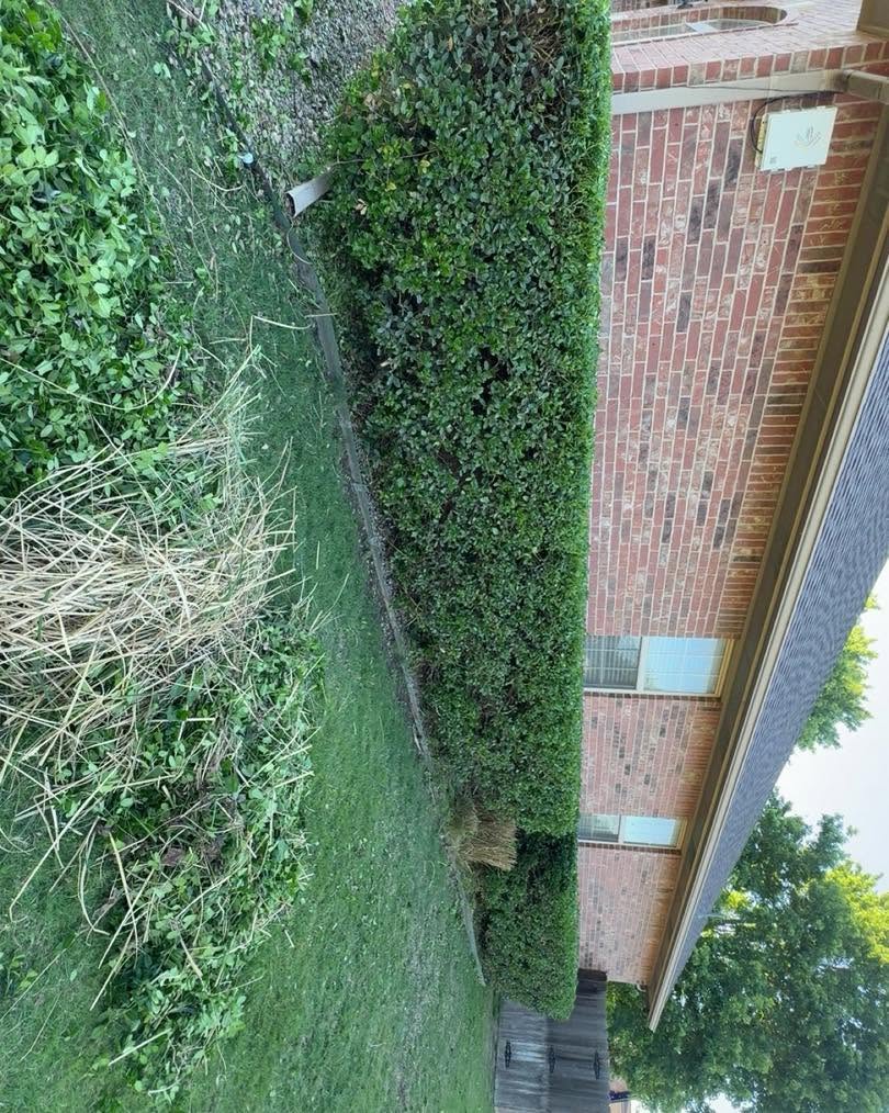 Freshly trimmed hedges beside a brick home