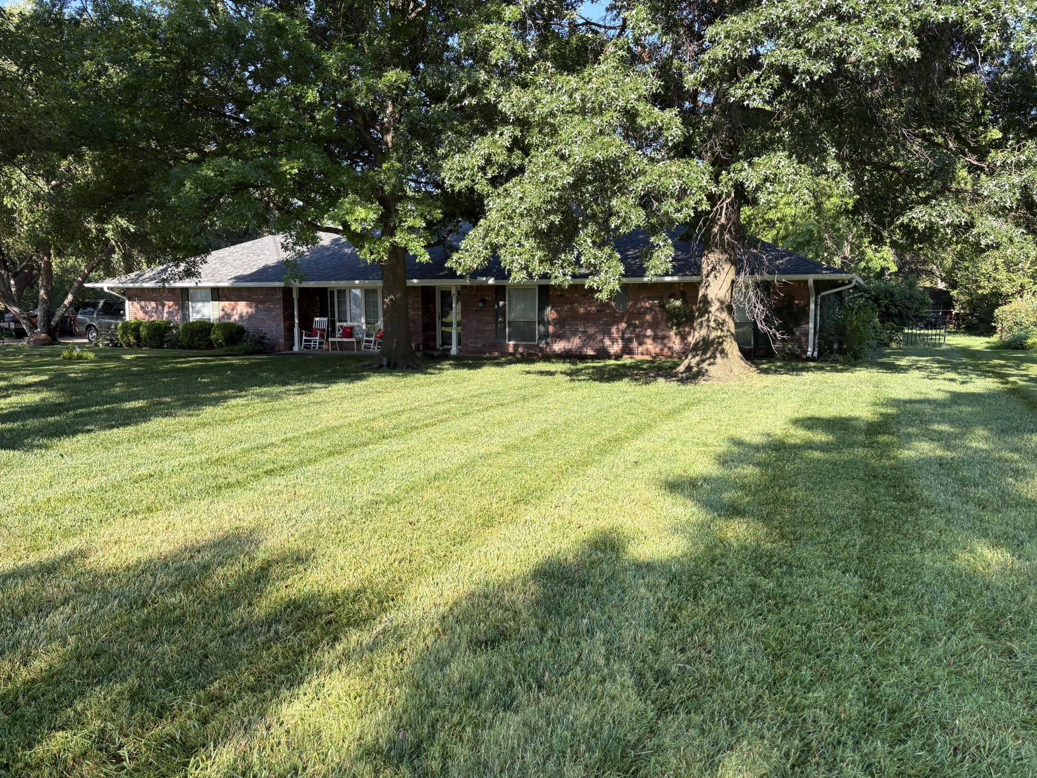 A freshly maintained residential lawn beneath mature shade trees