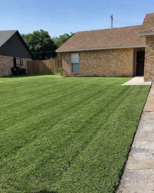A freshly mowed residential lawn with crisp stripes