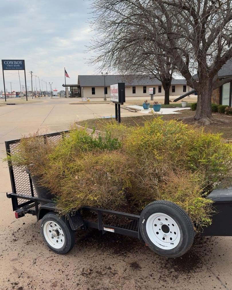 A trailer loaded with brush after a landscape cleanup
